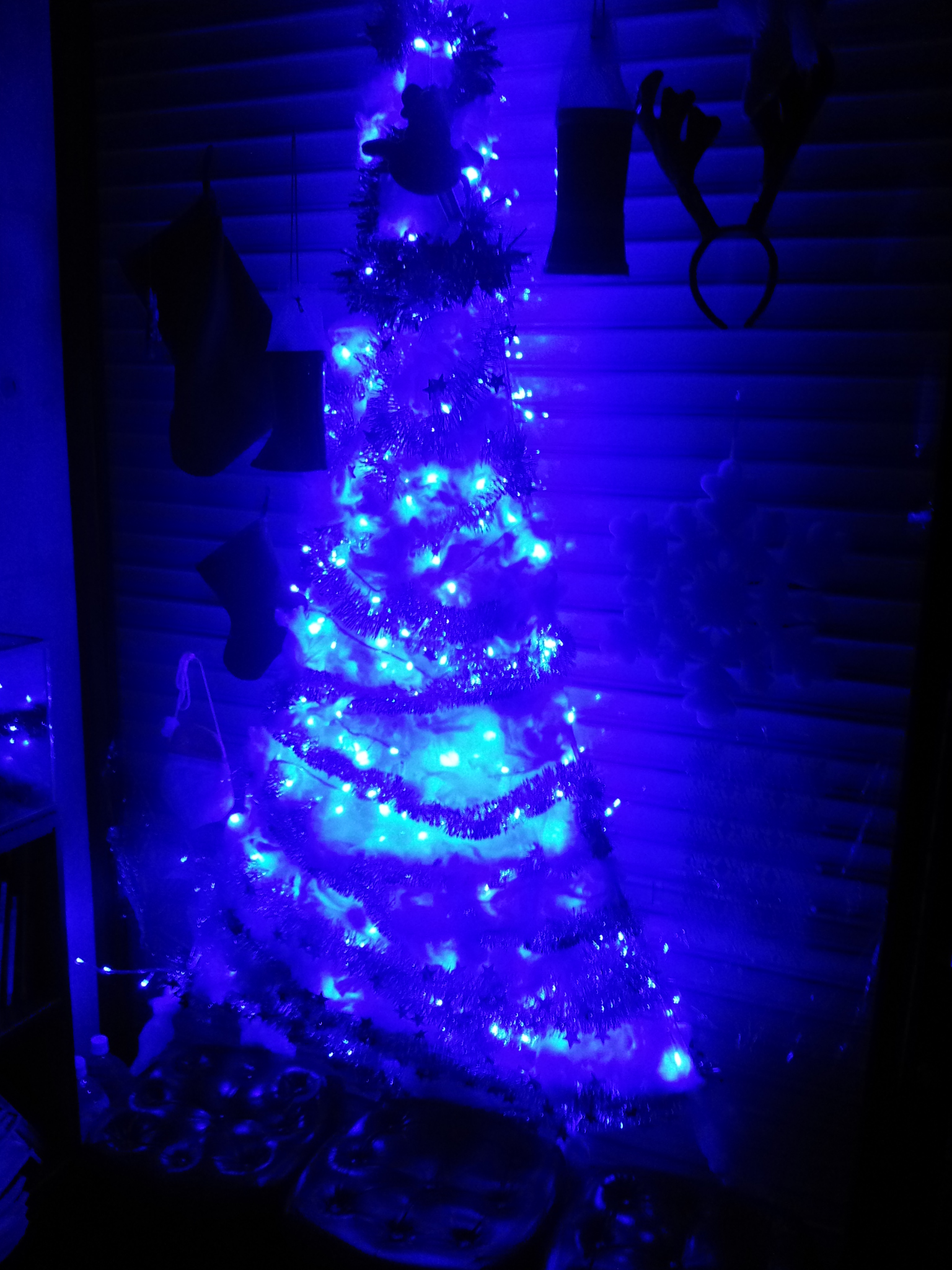 2011-11-28 21.00.47.jpg