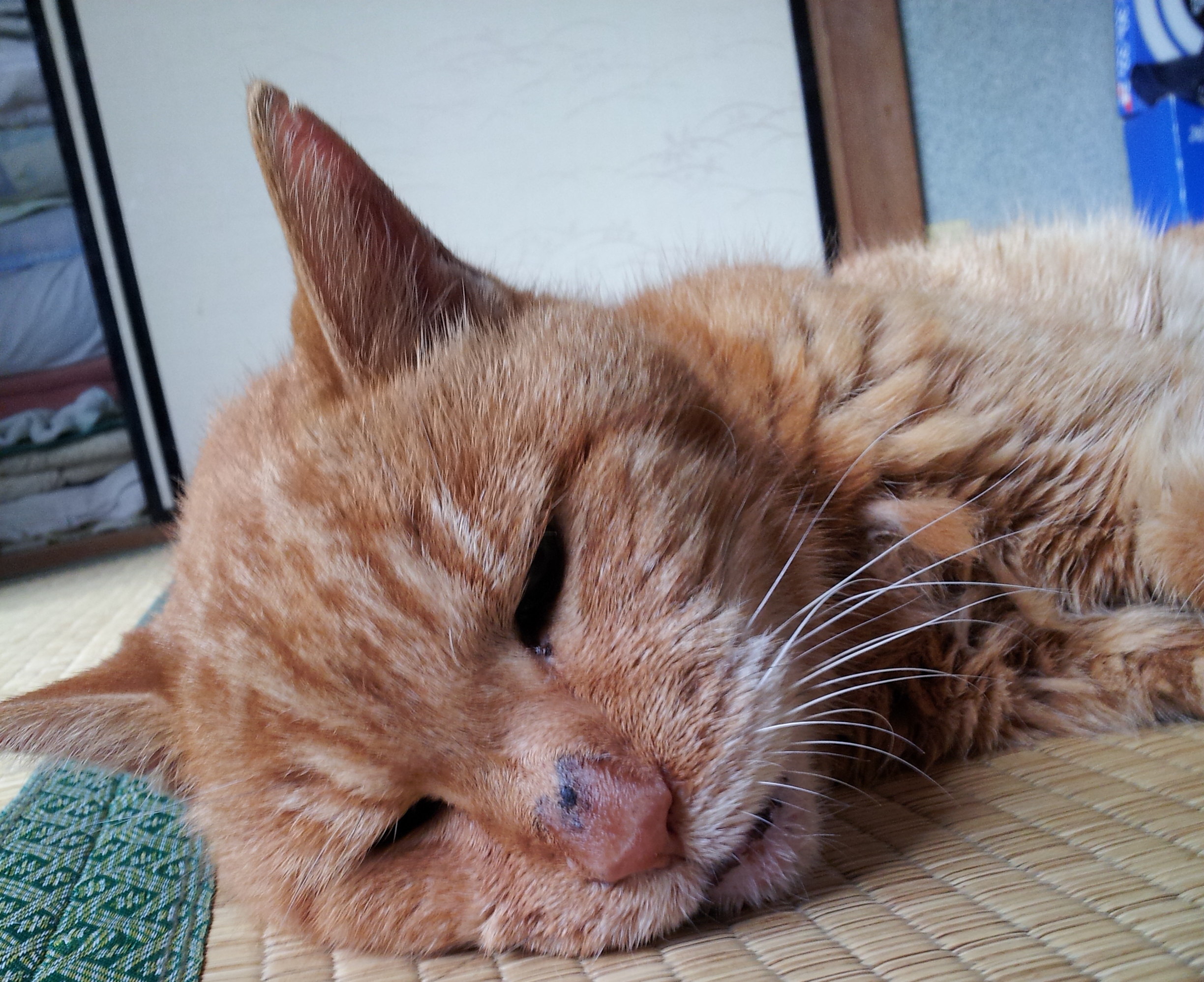2012-01-18 00.03.13.jpg