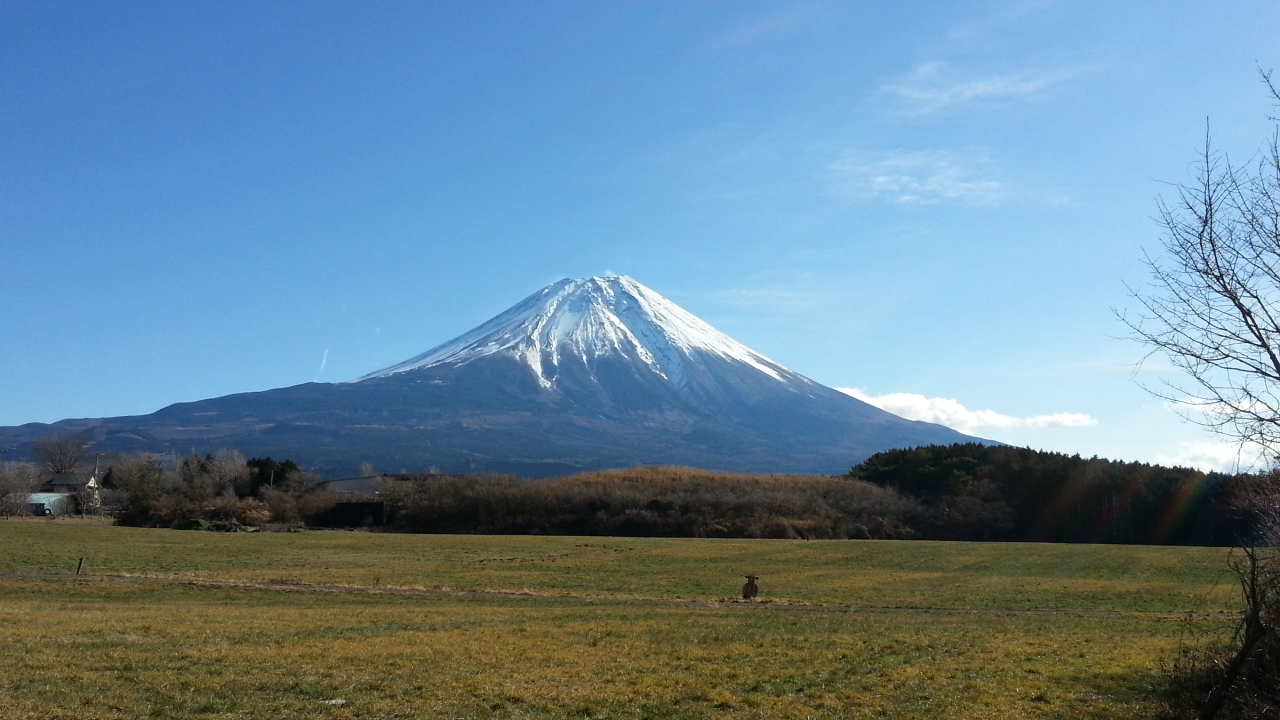 20130103_104825.jpg