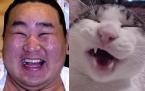 60cf0fd0ded334a2.jpg